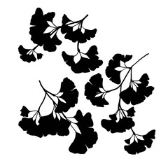 Black and white silhouette of ginkgo biloba branches vector illustration