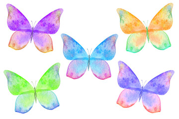 watercolor butterfly isolated on white background