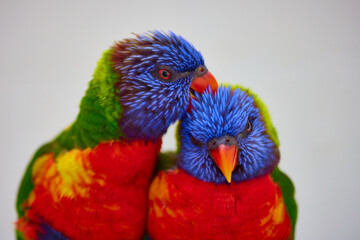 All