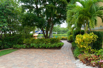 Fototapeta premium A beautiful paved florida walkway, well manicured and surrounded by trees