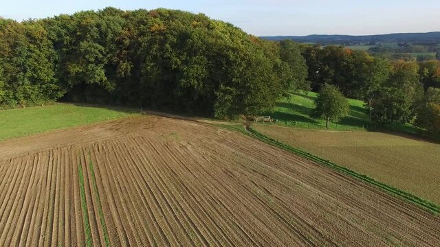 Flying above trees to see a small beautiful village on a sunny day