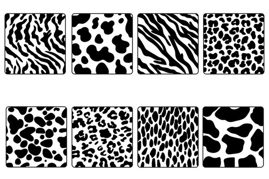 A set of eight textures. Vector backgrounds of simple animal skin patterns.
