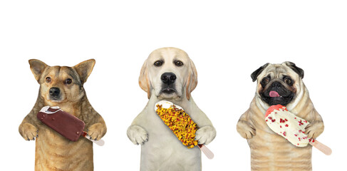 Three dogs are eating ice cream. White background. Isolated.