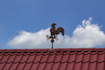 Kogutek na dachu