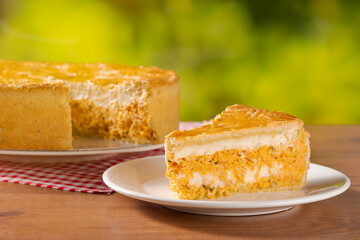 Chicken and cheese pie on natural background on white plate