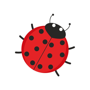 Illustration of a ladybug red to black dot with head and antennae