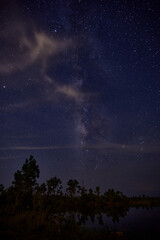 Fototapeta premium All