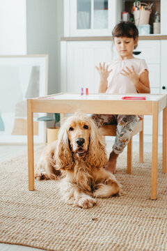 Six year preschooler girl with interest paint on nails with nail polish. Cocker spaniel dog lying beside.