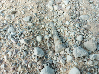stones in the sand and screw