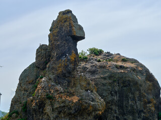 ゴジラ岩