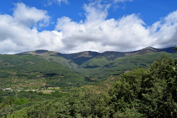 Naklejka premium Panoramic view of forest, mountain range with cloudy sky