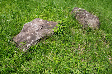 Two stones in the grass