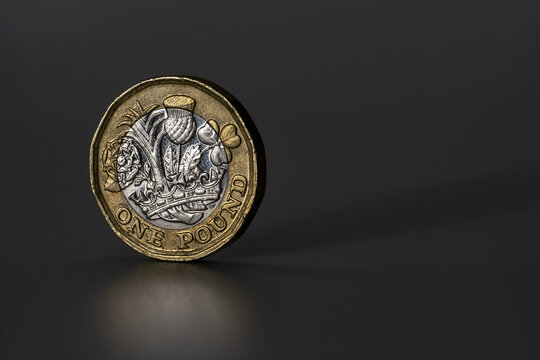 British one pound coin macro photo. Coin with the signs of circulation, worn state. Isolated on the grey background.