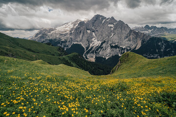 Fototapeta na wymiar Summer view of Marmolada (Punta Penia), the highest peak in Dolomites, Italy. Alpine landscape of Dolomiti with a view of a glacier on Marmolada and beautiful green meadow with yellow flowers.