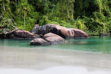 Naklejka na ściany i meble Green tropical vegetation, gray rocks and greenish transparent water river. Tropical scenery.