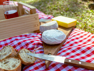 picnic napkin with delicious foods. homemade cheeses, slices of bread, butter, a glass of wine and...