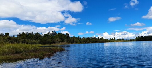 Paisaje acuatico de verano