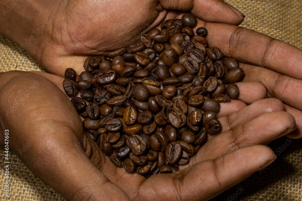 Wall mural coffee beans in hand