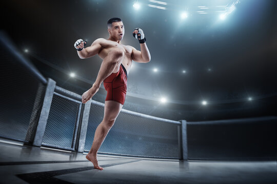 Knee kick. MMA cage. Male fighter with a knee kick. Sport. MMA fighter in the octagon. 3D