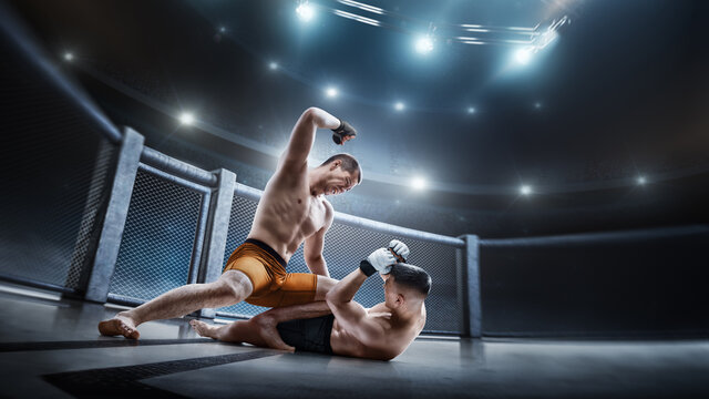MMA cage. Two fighters are fighting. Punches. Sport action concept. Emotions of winner. Octagon. 3D