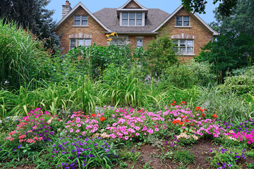 Lush home front garden with a profusion of green reeds and colorful flowers