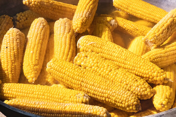 Fototapeta na wymiar Lots of bright yellow ears of boiled corn in a large cauldron. corn on the cob is boiled in a cauldron. Sweet corn with coarse grains treat with salt at the farmers fair