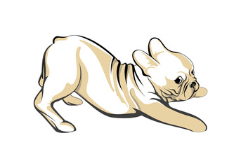 Hand-drawn sketch cute pug puppy isolated on white background. Vector illustration for posters and print