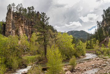 Black Hills National Forest, SD, USA - May 31, 2008: The cliff looking as cathedral in forest with...