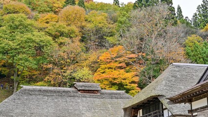 Fototapeta na wymiar 大内宿で見たカラフルなモミジの紅葉と茅葺屋根のコラボ情景＠福島