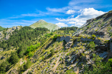Fototapeta na wymiar Mountains landscape in Lovcen national park, Montenegro. Beautiful balkan nature