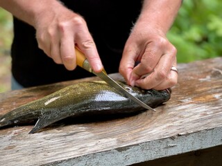 slicing fish on a chopping board