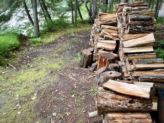 stack of firewood