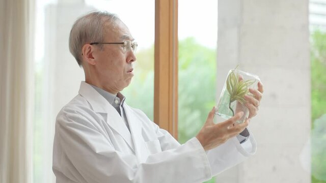 植物の入った瓶を眺める医師