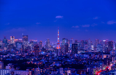 Fototapeta premium 東京夜景