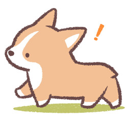 振り向くコーギーと芝生