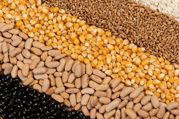 Fiber source examples