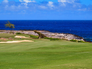 Fototapeta na wymiar View of the Golf course that site beside the Dragon's Teeth in Maui
