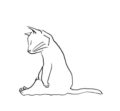 ネコ　ペン画　シンプル