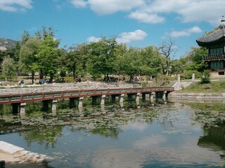 Fototapeta na wymiar Lotus Lake lanscape, Gyeongbok Palace, Seoul, South Korea