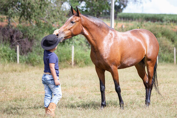 A beautiful Mangalarga Marchador mare with the blood bay coat receiving affection from a young cowboy. Concept of friendship between a child and a horse.
