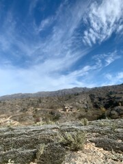 Musgo sobre una montaña en un dia soleado