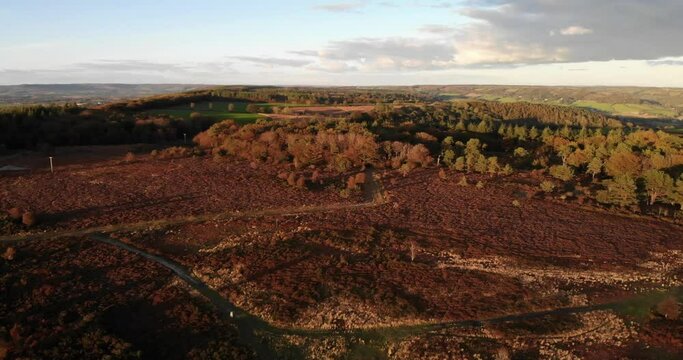 Aerial shot depicting deforestation and climate change in the UK countryside