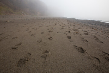 Sikhote-Alin Biosphere Reserve. Empty sandy beach in the fog. Shoe marks on the sea sand go into the distance.