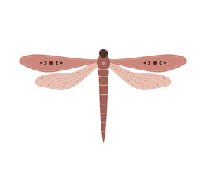 Boho dragonfly. Insect with celestial elements. Witch and magic symbol. Abstract hand drawn vector illustration in bohemian style.