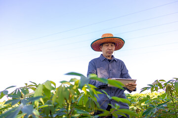 Smart Farmer An Asian man uses a tablet to analyze the crops he grows in his farm during the day.