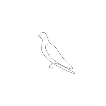 recommend clip art: Dove bird line drawing vector illustration