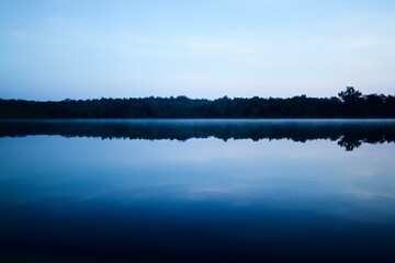 reflection of trees in water