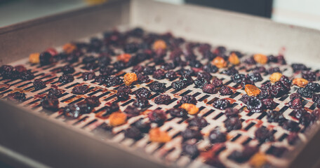 Fototapeta premium The process of cooking dry red cherries, yellow cherries in an electric automatic dryer at home.