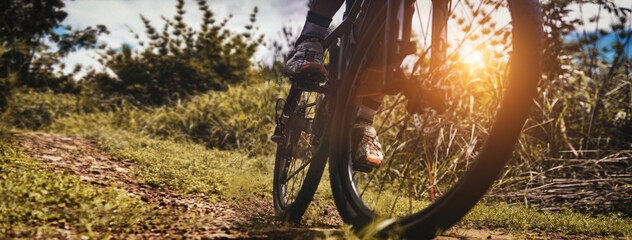 Mountain biking low angle view, Cyclist ride training on MTB track in forest with mountain bike,...