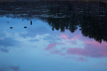 Pink afterglow reflected on water at Goodwin State Forest, Connecticut.